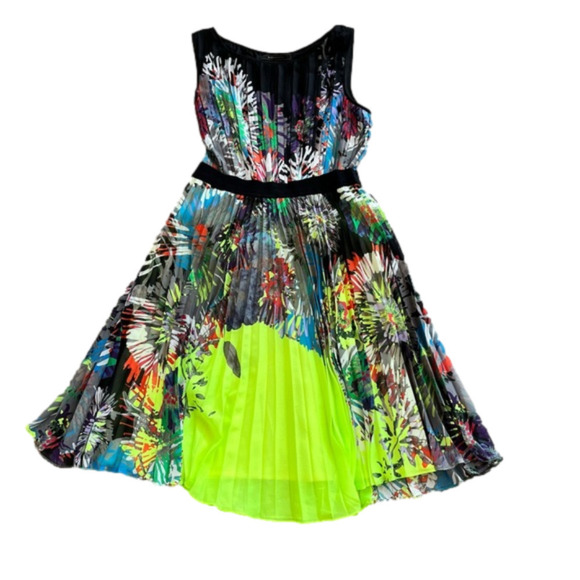 BCBGMAXAZRIA Sierra Dress, Pleated Multi Colour Floral Print Dress Neon, Size S - Picture 6 of 12
